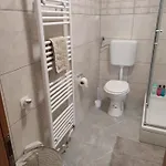 Apartament Pulic *