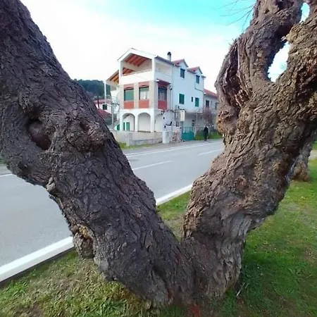 Apartament Pulic