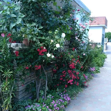 Apartman Pulic Skradin