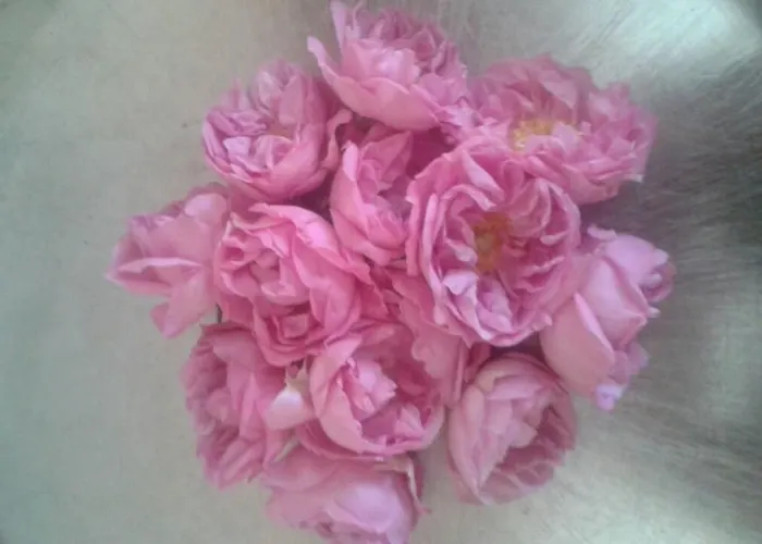 Pulic Apartman Skradin